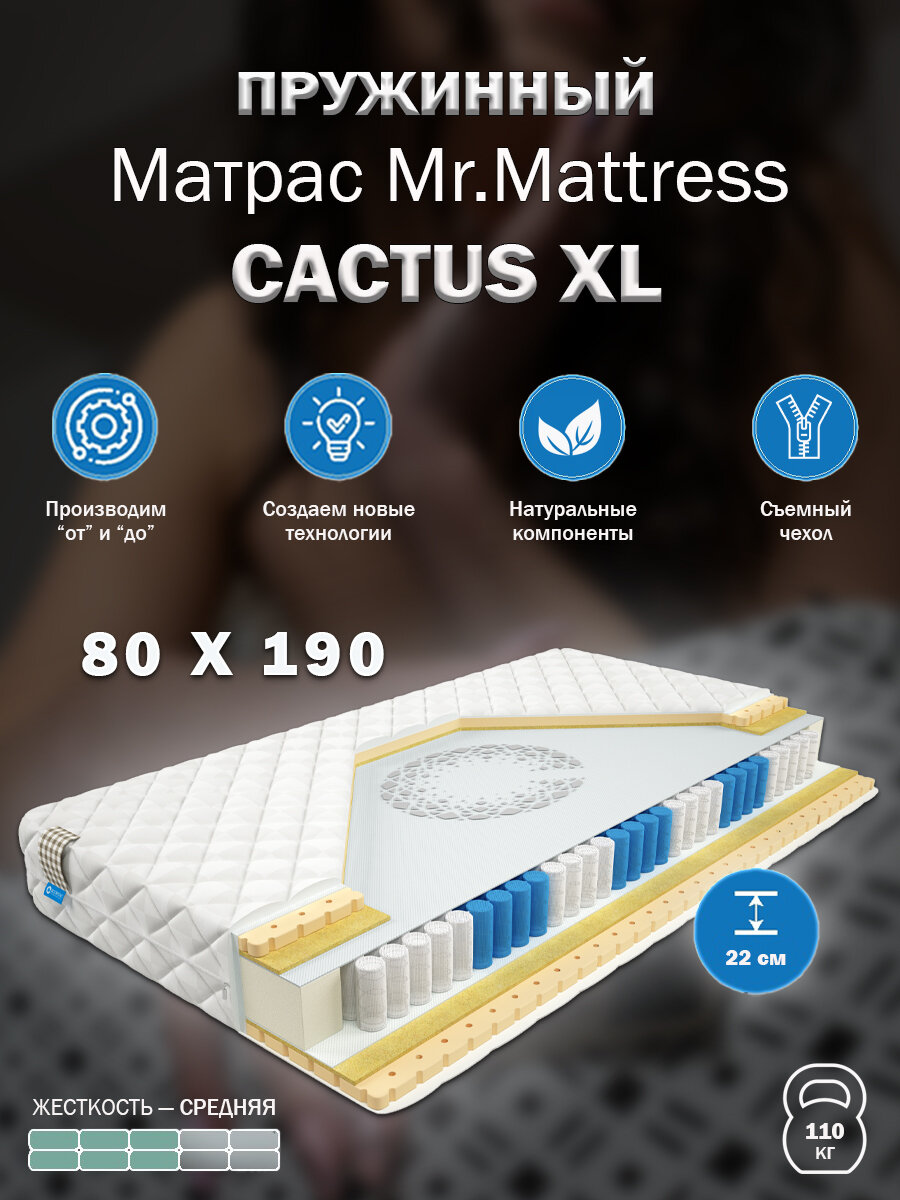 Матрас Mr. Mattress CACTUS XL 80x190