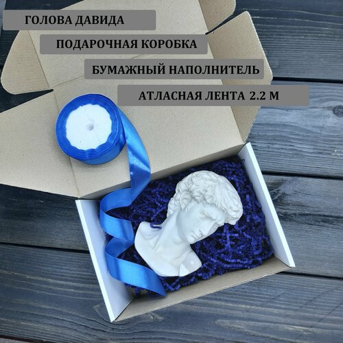 Статуэтка из гипса голова/бюст Давида белого цвета в подарочной коробке с наполнителем и лентой