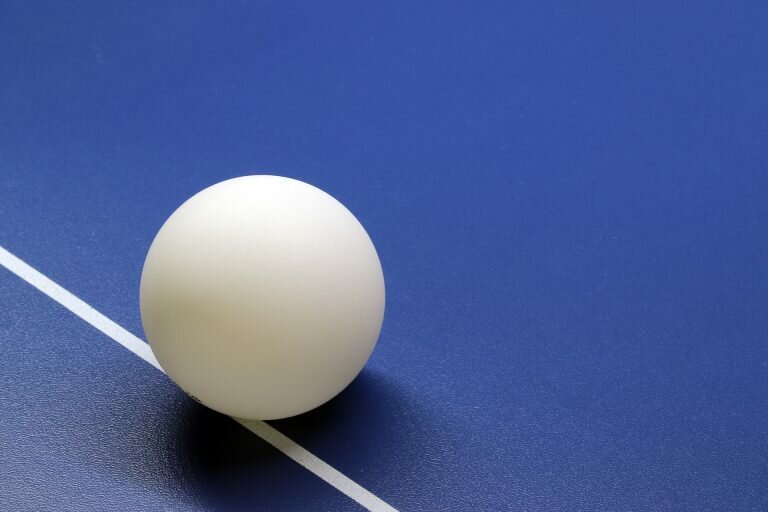 Мячи шарики для настольного тенниса Mr. Fox 6 шт мячики шары, белые