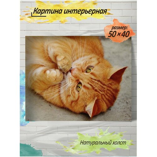 Картина готовая на холсте, 40x50, кот рыжий, c подрамником