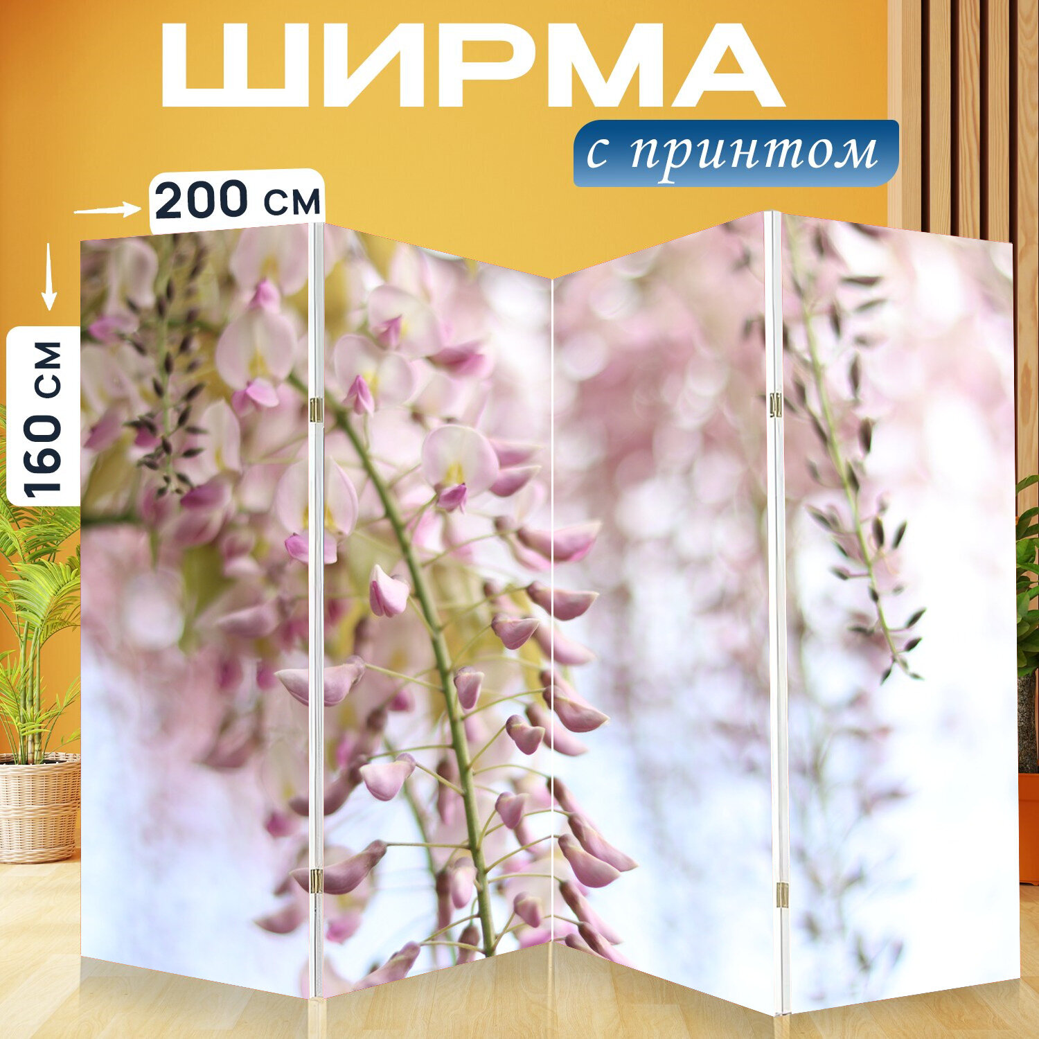Ширма перегородка с принтом "Глициния, альпинизм, цветок" на холсте - 200x160 см. для зонирования, раскладная