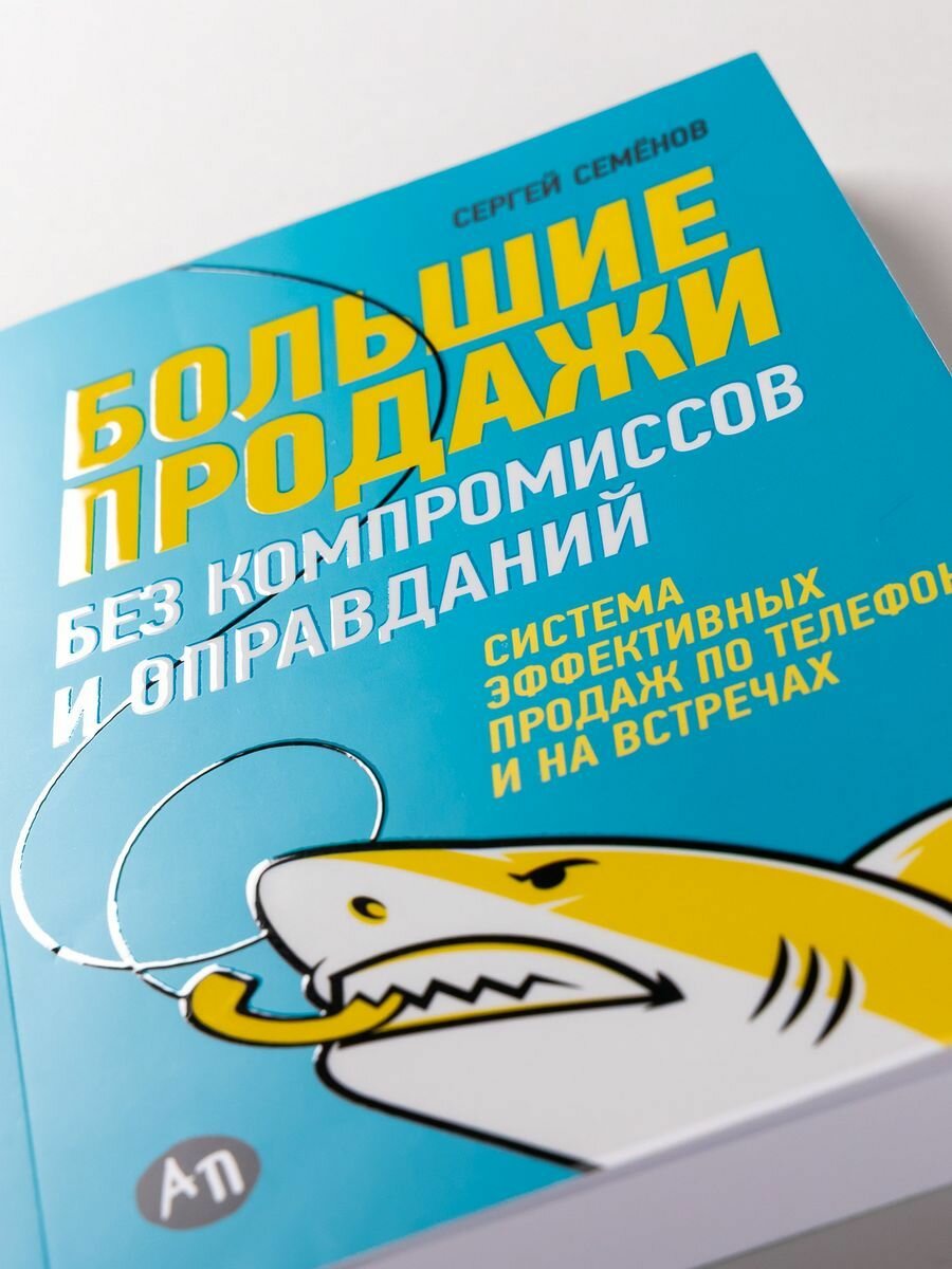 Большие продажи без компромиссов и оправданий. Система эффективных продаж по телефону и на встречах - фото №14