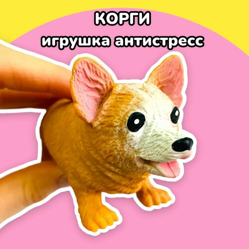 Мялка антистресс игрушка Корги (рыжий, белый)