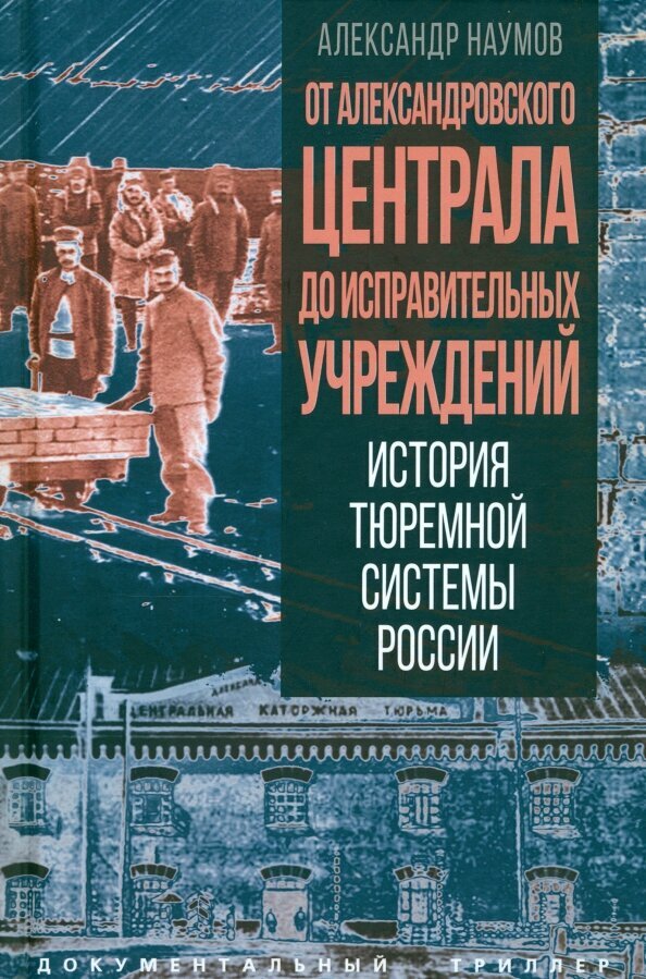 От Александровского централа до исправительных учреждений. История тюремной системы России. Наумов А. В.