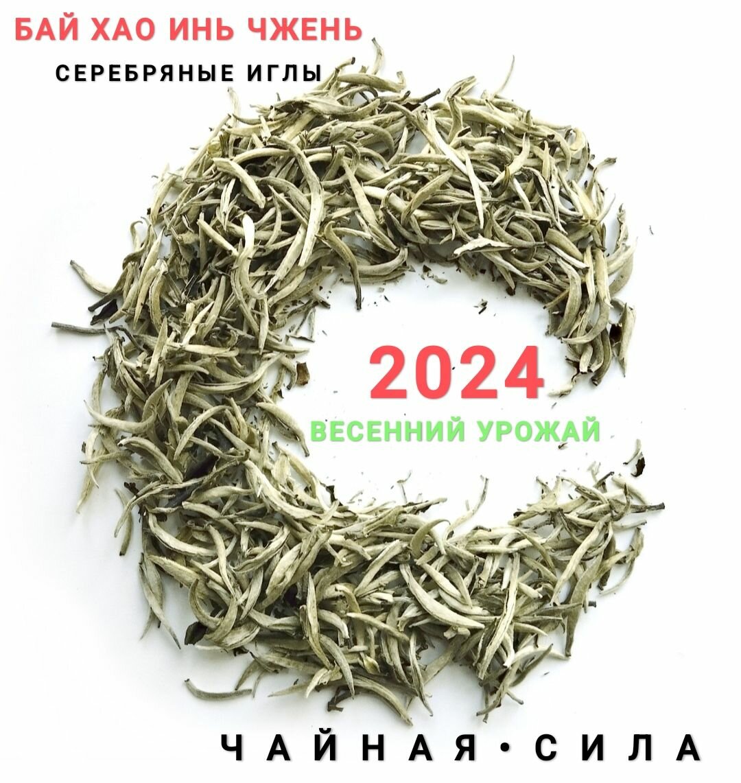 Бай Хао Инь Чжень, Серебряные иглы с белым пухом, белый чай, 2024 г, 50 гр, Юньнань. Настоящий китайский чай