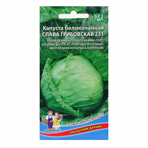 Семена Капуста Слава Грибовская 231, 0,3 г капуста слава грибовская 231 б к цв п 0 5 гр среднеспелая