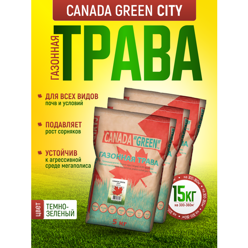 Газонная трава семена Городская 15кг / Канада Грин Городской 15 кг/ семена газона райграс, мятлик, овсяница