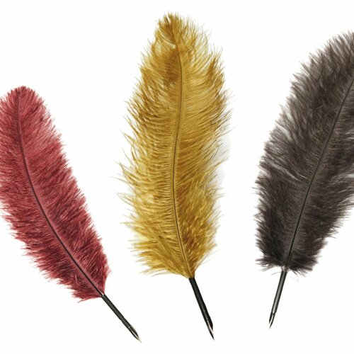 Перо manuscript гусиное декоративное 27-30 см ассорти 3 цвета блистер 1799₽