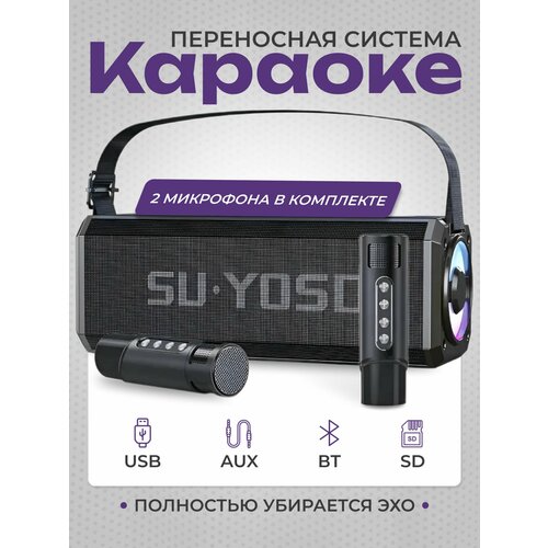 Портативная Bluetooth караоке система черная с 2 микрофонами
