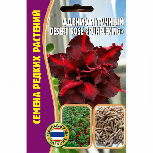 Семена Адениума тучного DESERT ROSE " PURPLEKING" (3 сем.)