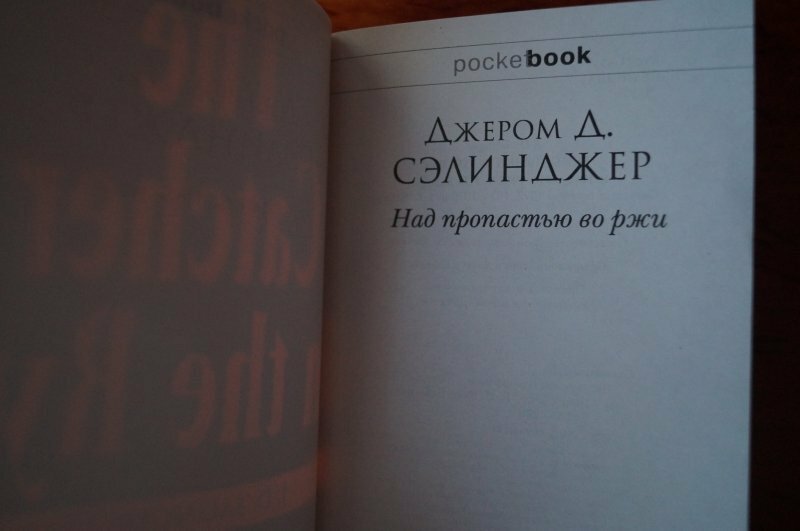 Над пропастью во ржи (Сэлинджер Джером Дэвид) - фото №17