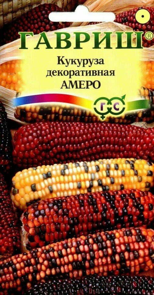 Кукуруза Амеро декоративная 5 шт.