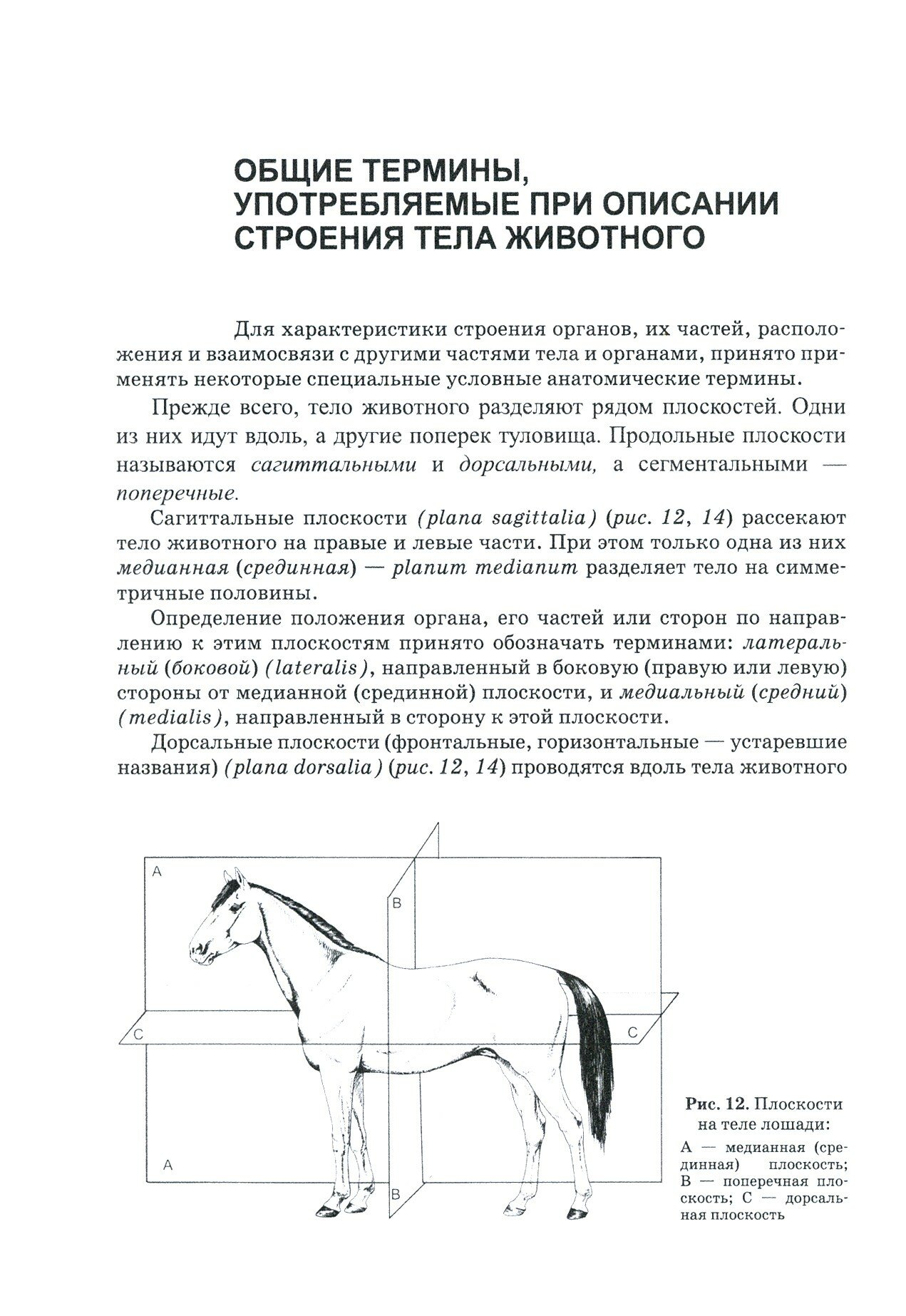 Анатомия животных Соматические системы Практикум Учебное пособие для вузов - фото №5