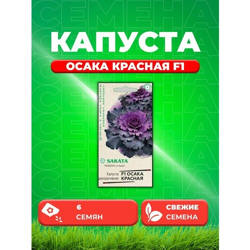 Капуста декоративная Осака красная F1, 6шт, Sakata семена капуста декоративная нагоя f1 красная 3 упаковки 2 подарка