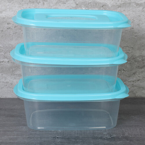 Контейнер для еды 1000 мл 3 штуки пластик голубой 580₽