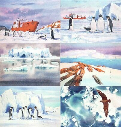 Анна Михайлова. Антарктика. Набор из 12 открыток — фото 1