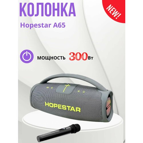Колонка Hopestar A65 15000₽
