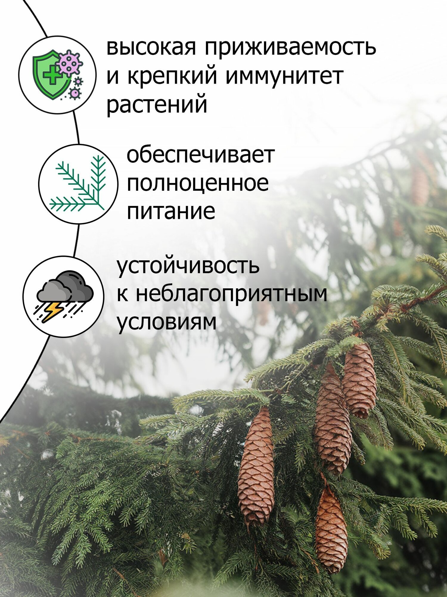 Удобрения Для Растений Витаминный биокомплекс для туй и хвойных - органическое удобрение с гуминовыми кислотами 500 мл