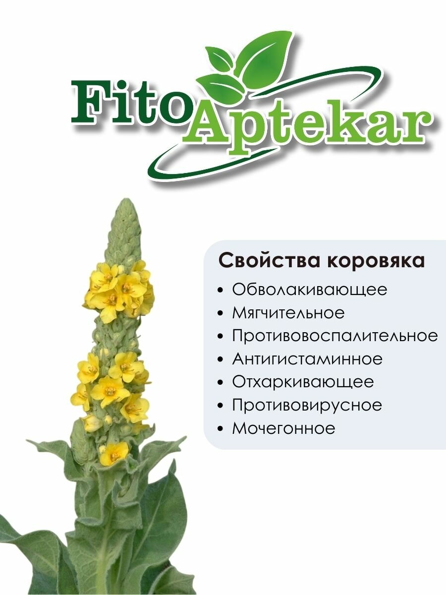 Картинки Коровяк скипетровидный трава средняя фракция Фито-Аптекарь, при заболеваниях верхних дыхательных путей, 250 гр