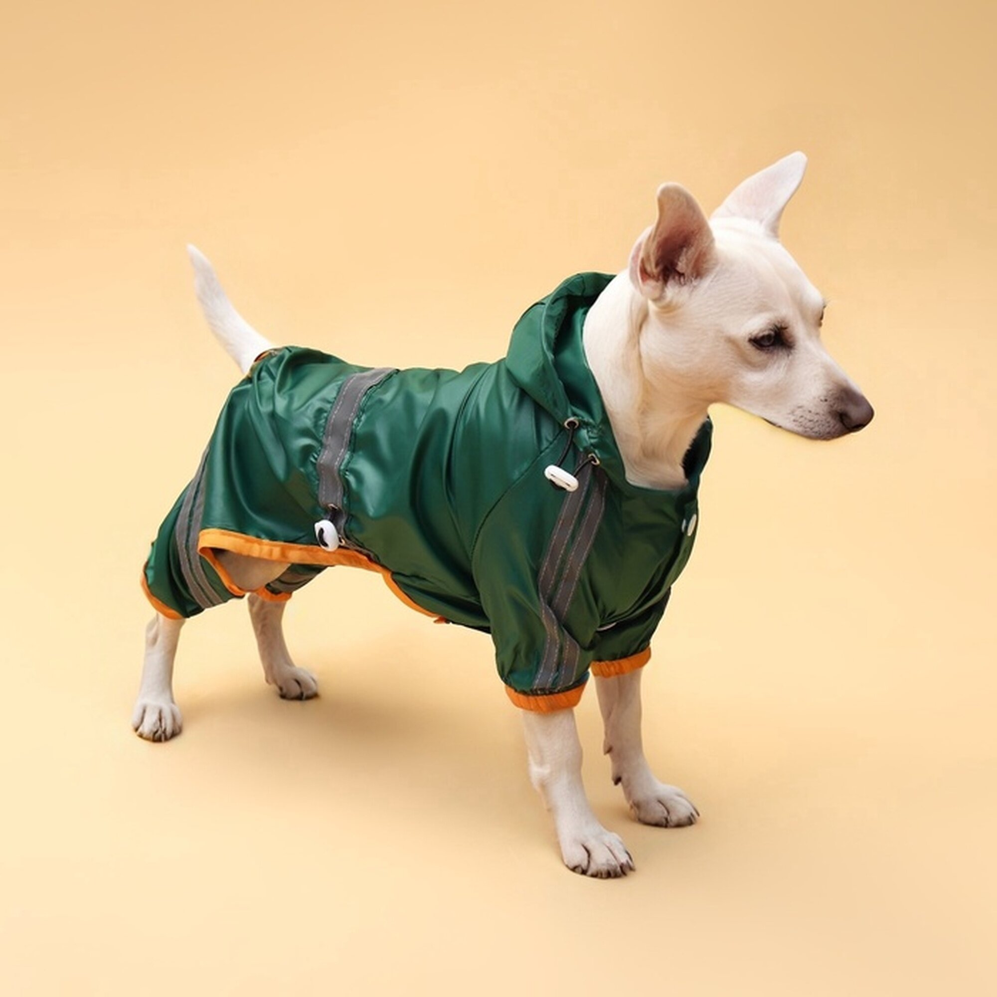 Комбинезон для собак демисезонный размер XS (ДС 17-19 Ог 27-29 ОШ 19-21 см) зелёный