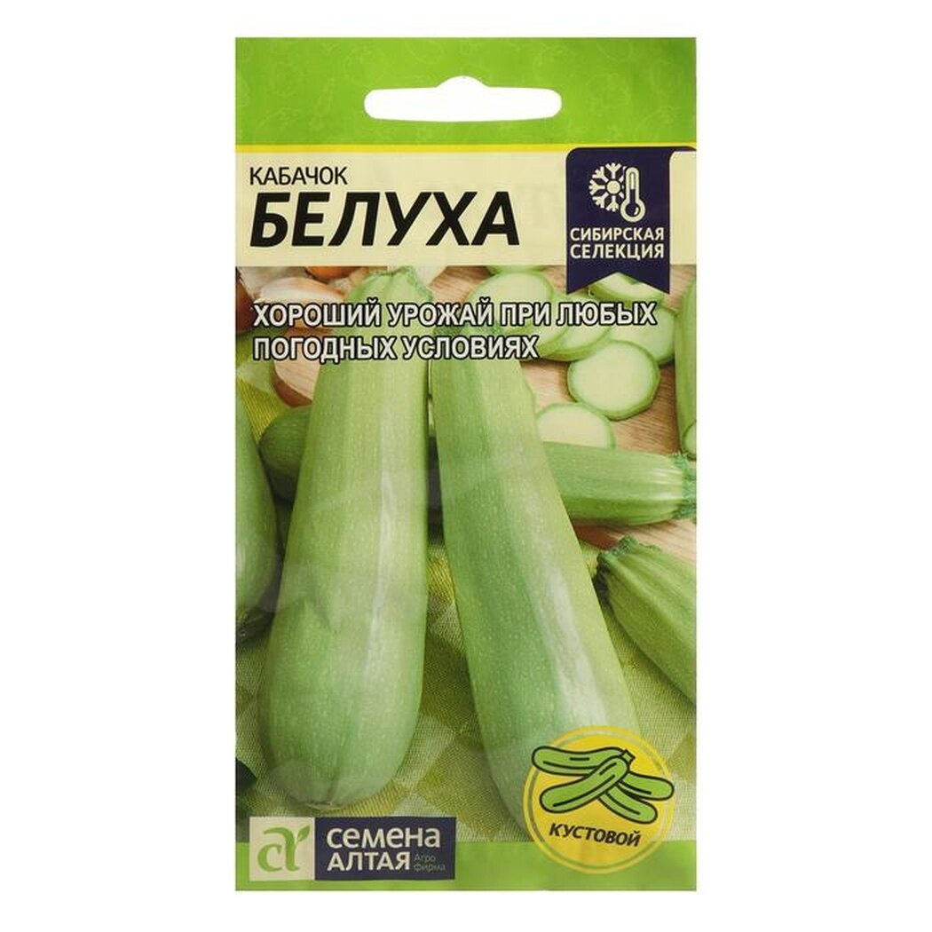 Семена Кабачок 