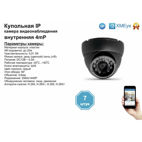 (7шт) DVS300IP4MP. Внутренняя IP камера 4мП с ИК до 20м.