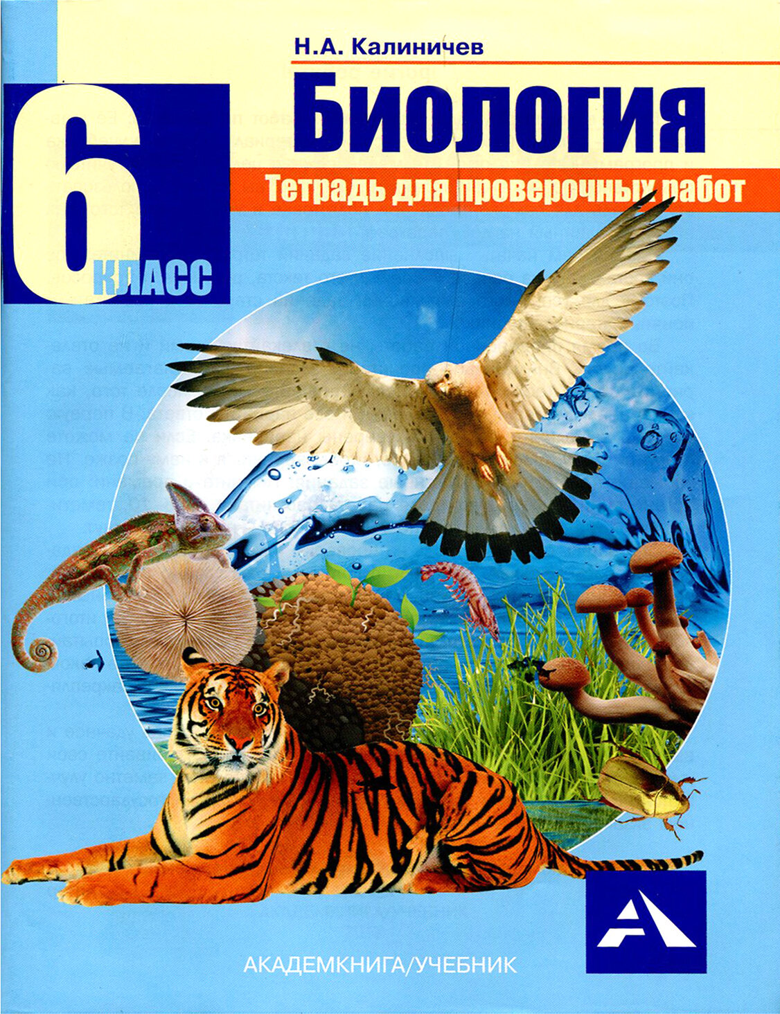 Биология. 6 класс. Тетрадь для проверочных работ - фото №2