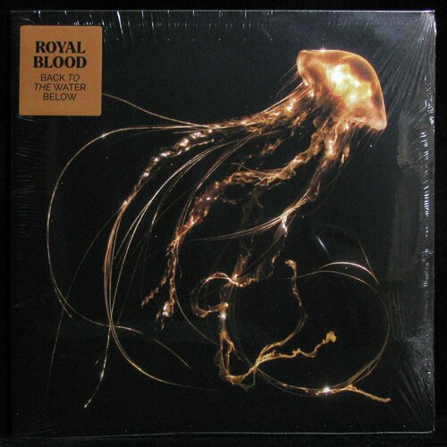 royal blood – back to the water below gold vinyl Виниловая пластинка Warner Royal Blood – Back To The Water Below