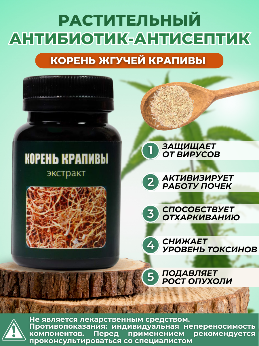 Корень крапивы жгучей