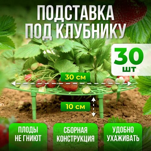 Подставка под клубнику, кустодержатель, опора для растений 30шт подставка под клубнику опора подпорка держатель садовый для кустов клубники растений цветов набор 30 штук