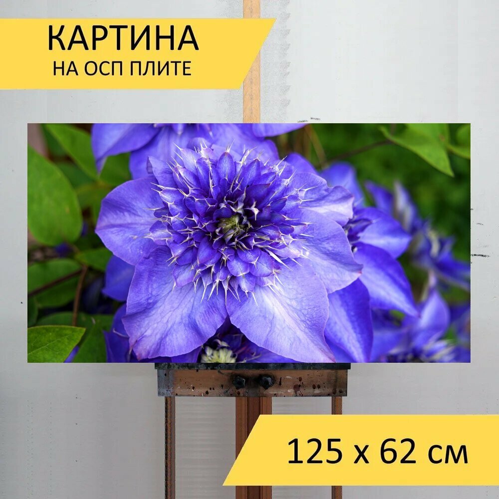 Картина на ОСП 125х62 см. "Клематис, синий, цвести" горизонтальная, для интерьера, с креплениями