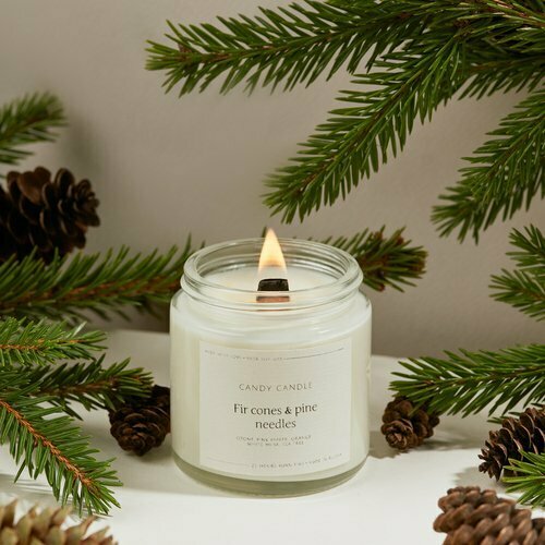 Свеча ароматическая Candy Candle Еловые шишки и хвоя, 120 мл