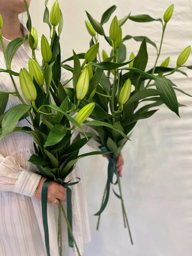 Изображение товара Букет Romashka «Лилия», монобукет, 11 цветов, высота 50 см, средство chrysal