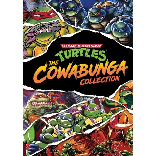 ps5 игра konami teenage mutant ninja turtles cowabunga collection Teenage Mutant Ninja Turtles: The Cowabunga Collection (Steam; PC; Регион активации Евросоюз)