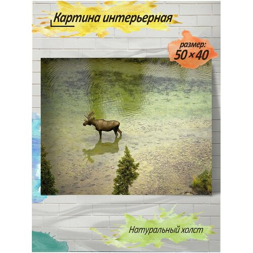 Картина готовая на холсте, 40x50, олень, c подрамником