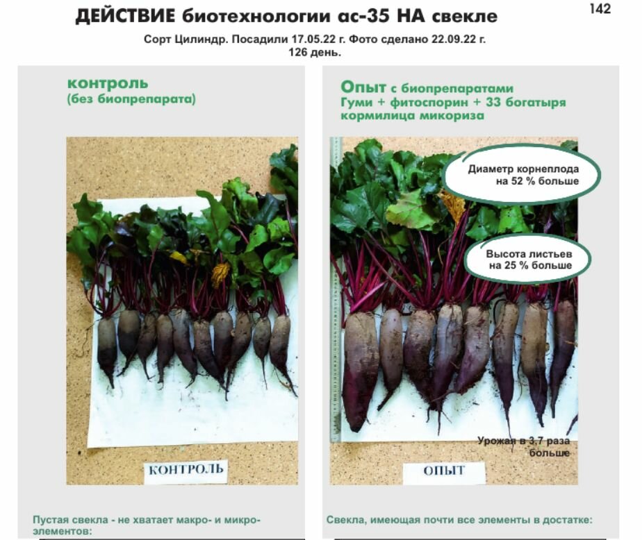 Кормилица Микориза 1л. Х 3шт. Стимулятор роста корней, питание и защита растений. - фотография № 8