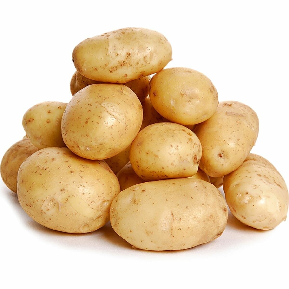 Семенной картофель коломбо фасовка 7 кг