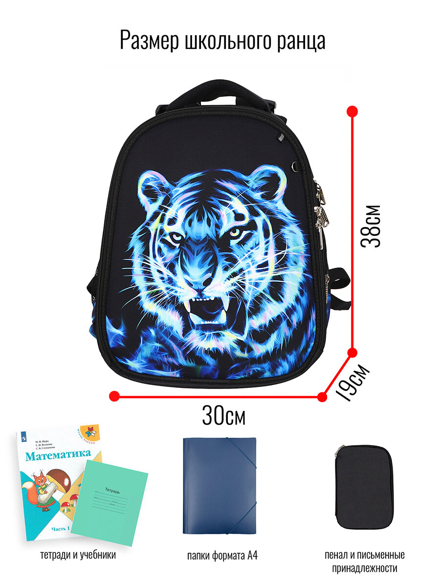 Ранец BagRio BR16/22 - фото №9