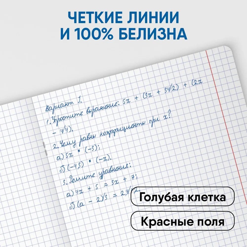 Тетрадь для школы общая в клетку 48 листов, формат А5, Комплект/набор 4 штуки BG "Monocolor. Chat" неоновые/для школьников, студентов, офиса