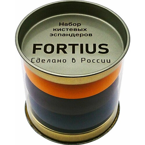 Набор кистевых эспандеров Fortius 3 шт. в тубе (40, 50, 60 кг) набор эспандеров кистевых синий 60 кг