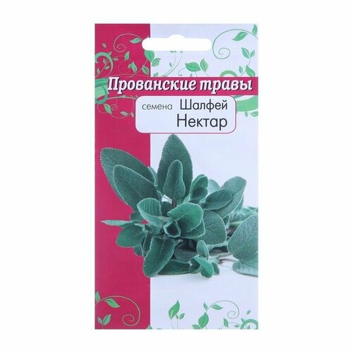 Семена Шалфей Нектар Прованские травы 0,1 г семена шалфей нектар прованские травы 0 1 г