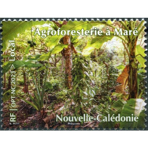 Новая Каледония 2023. Агролесомелиорация в Маре (MNH OG) Почтовая марка