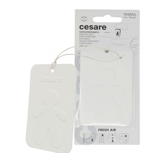 Mr&Mrs Fragrance Аромакарточка для автомобиля CESARE CARD белый FRESH AIR Свежий воздух