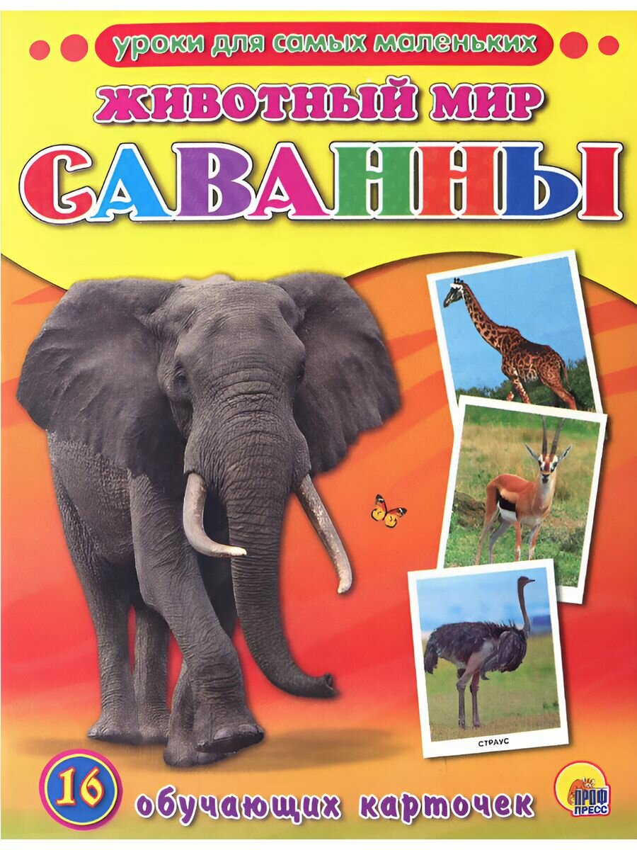 Обучающие карточки "Животный мир Саванны"