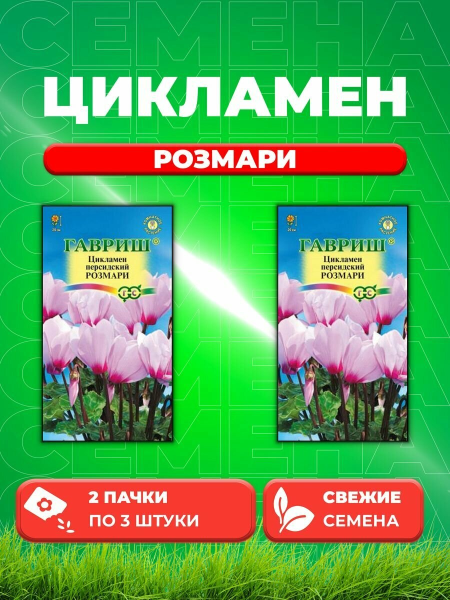 Цикламен Розмари персидский* 3 шт. (2уп)