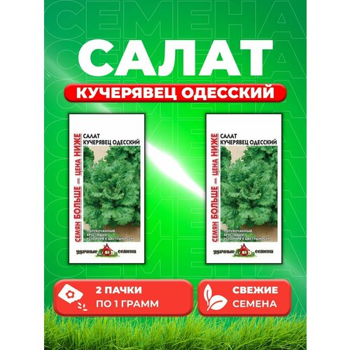 Салат Кучерявец Одесский 1,0 г хрустящий Семян больше (2уп)