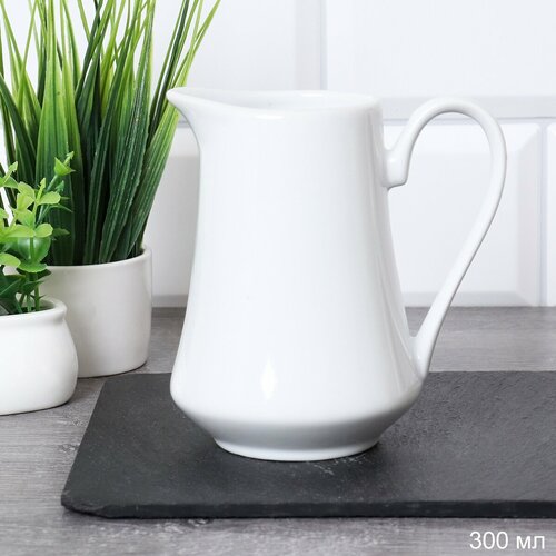 Сливочник 300 мл 350₽