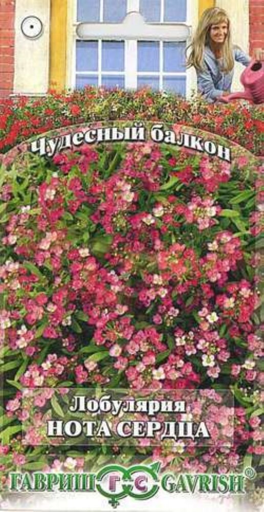 Семена Лобулярия Нота сердца 005г (Гавриш) Чудесный балкон