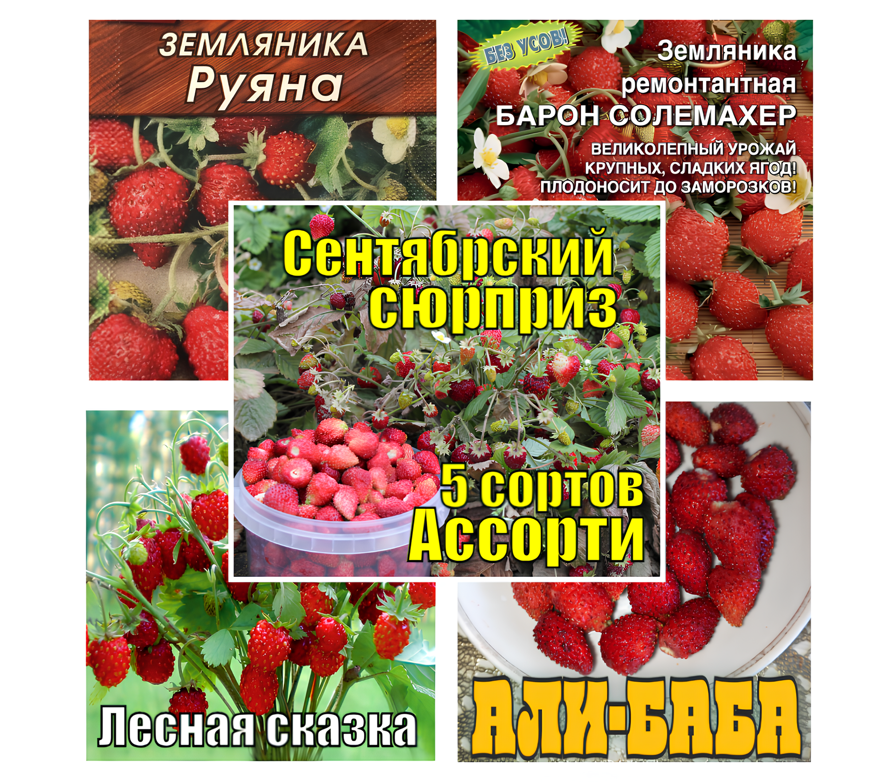 Набор семян 5 сортов земляники (150 шт)