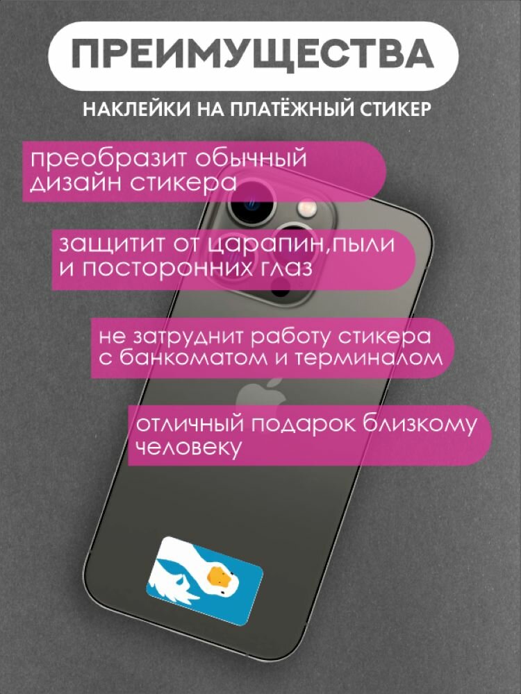 Наклейки на платежный стикер Гусь — фото 1